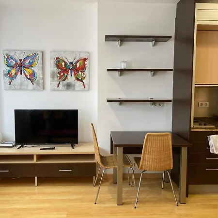 Estudio Centrico D1 Daire *